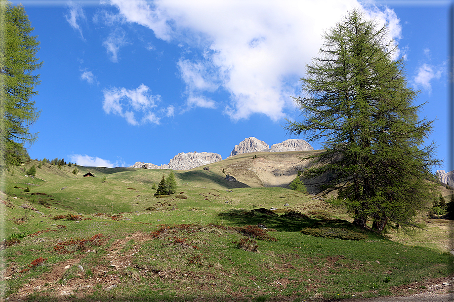 foto Forca Rossa e Passo San Pellegrino